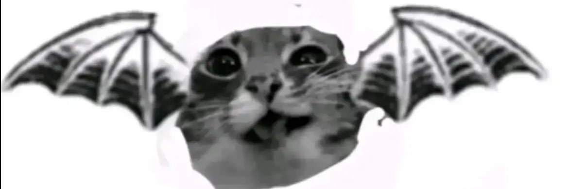 wawasbubu's profile banner image