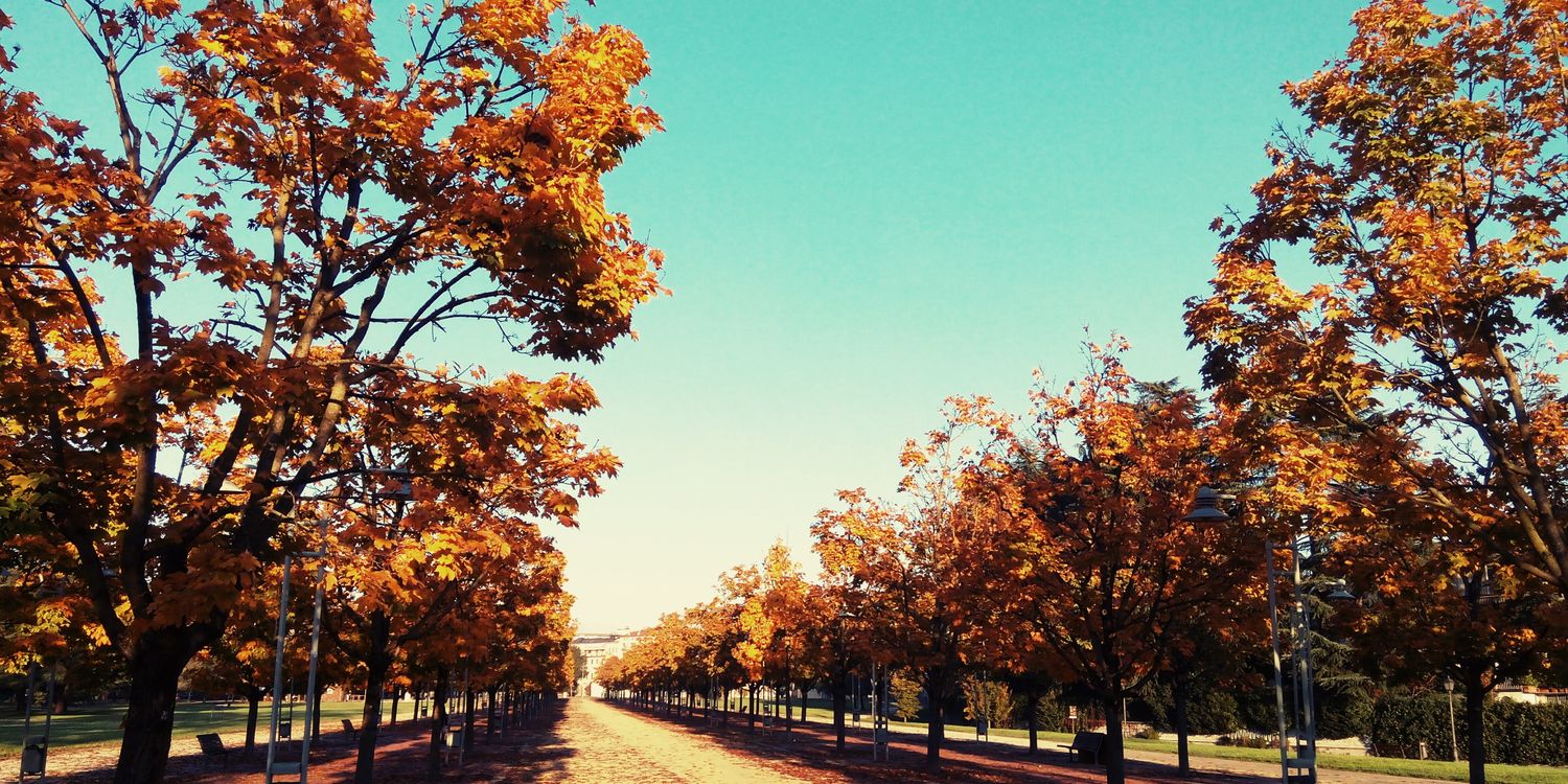 StefanoDalPraCa's profile banner image