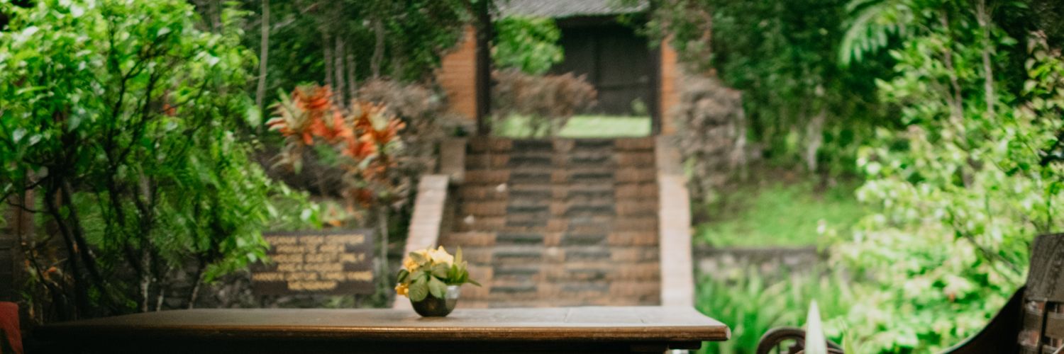 andi_heintz's profile banner image