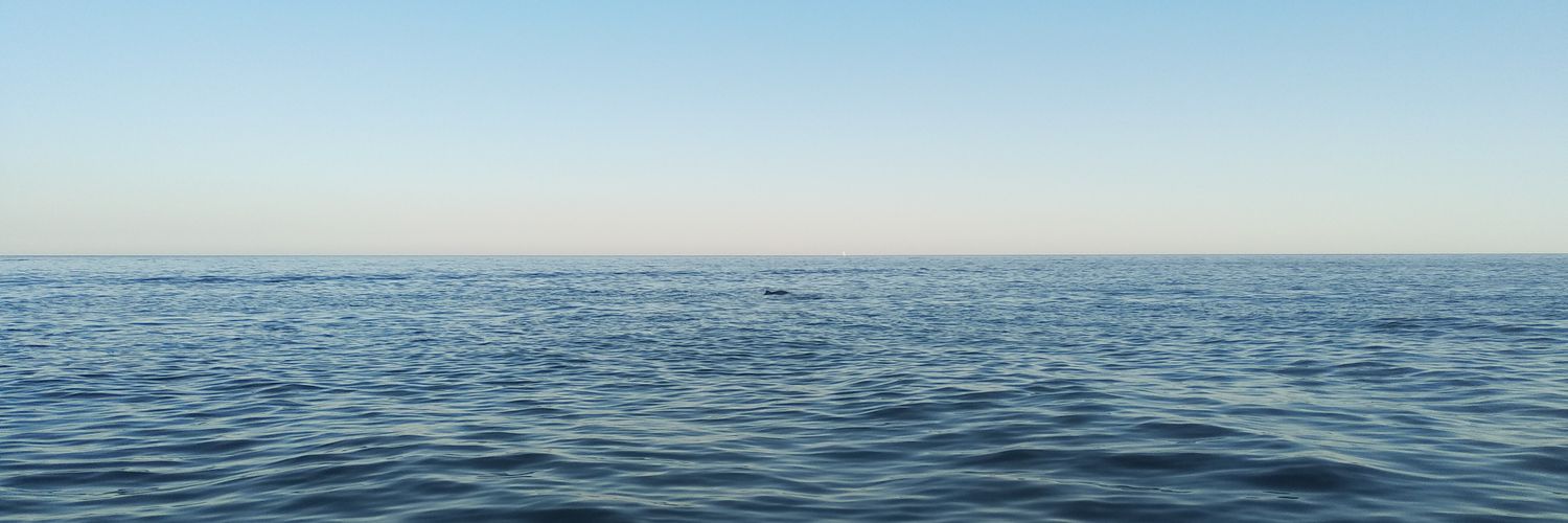 l_igor92's profile banner image