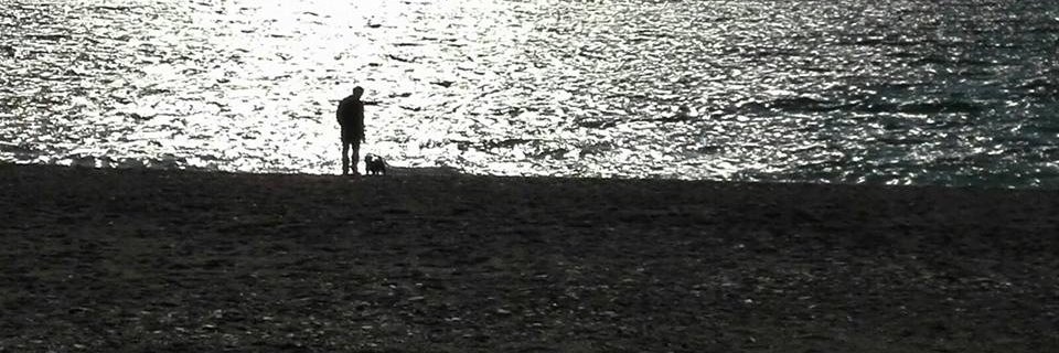 ElvisBocchetti's profile banner image