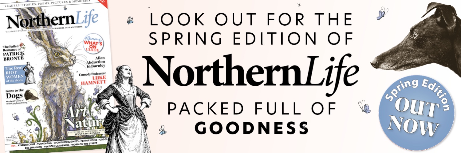 Northern Life Magazine banner