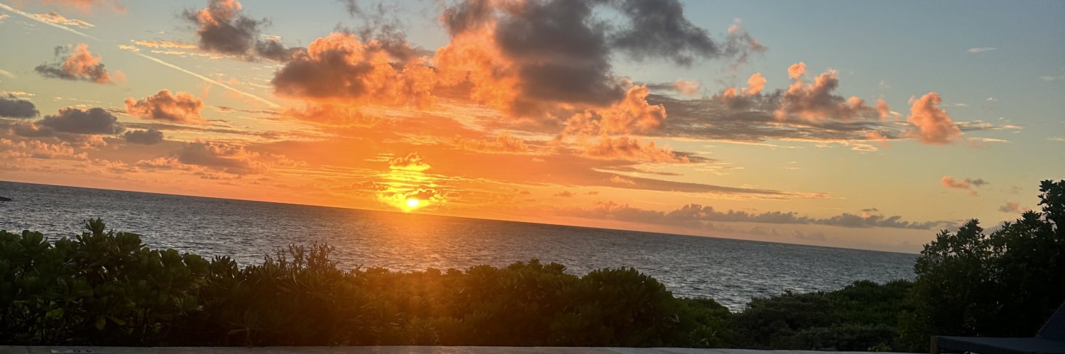 JunePhillip's profile banner image