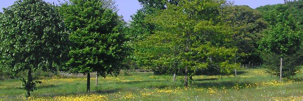 askboltonlibs Profile Banner