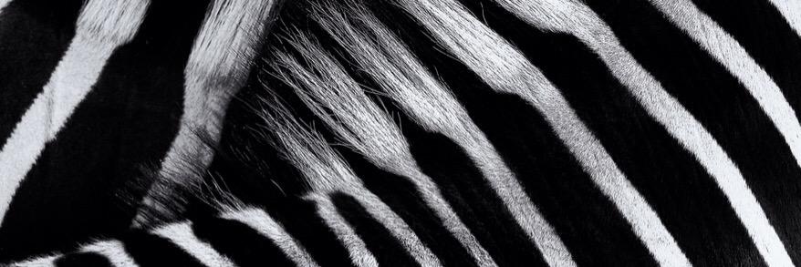 JackFillery's profile banner image