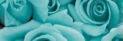Kelly_Zayn's profile banner image
