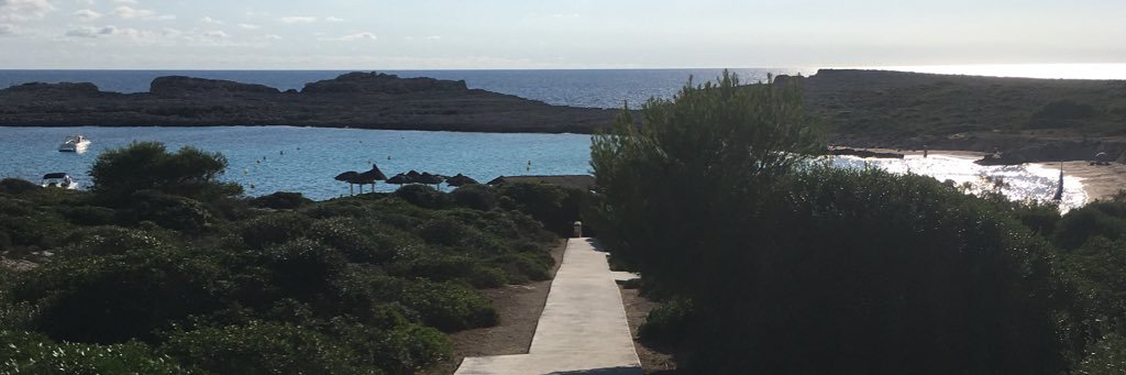 Andrew Rogers banner