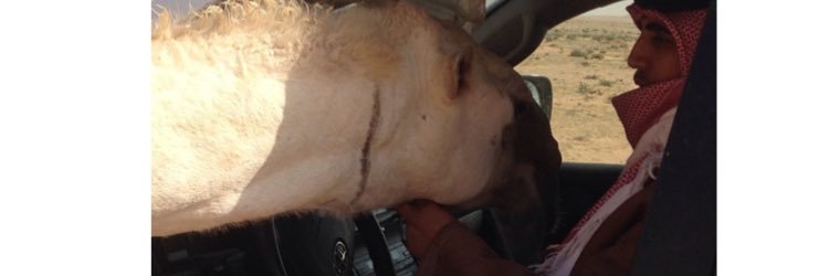 mohammadalsuba4's profile banner image