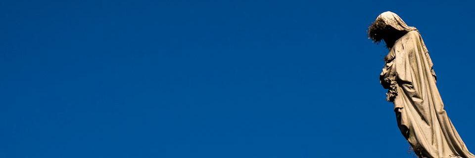 asebasp's profile banner image