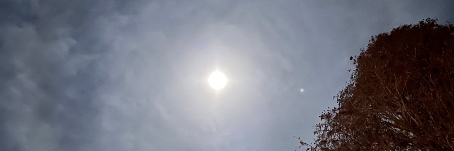 Danielle Roberts banner