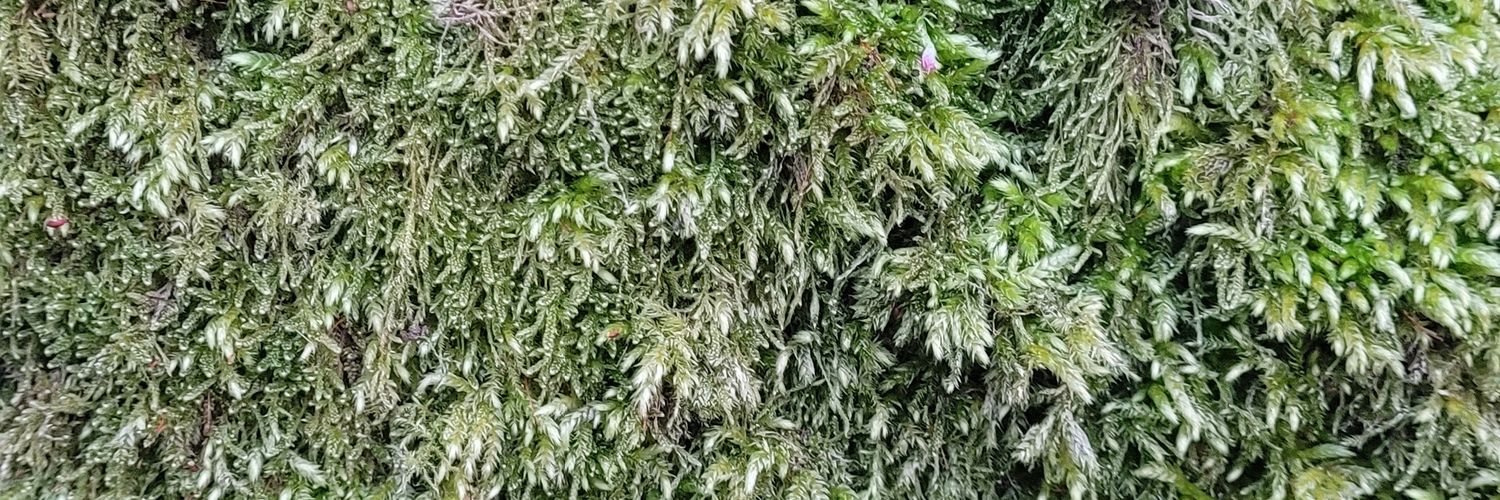 Enviro_Spalding's profile banner image
