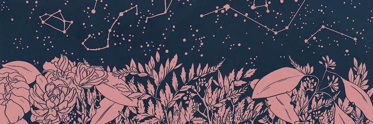 SakuraDRose's profile banner image