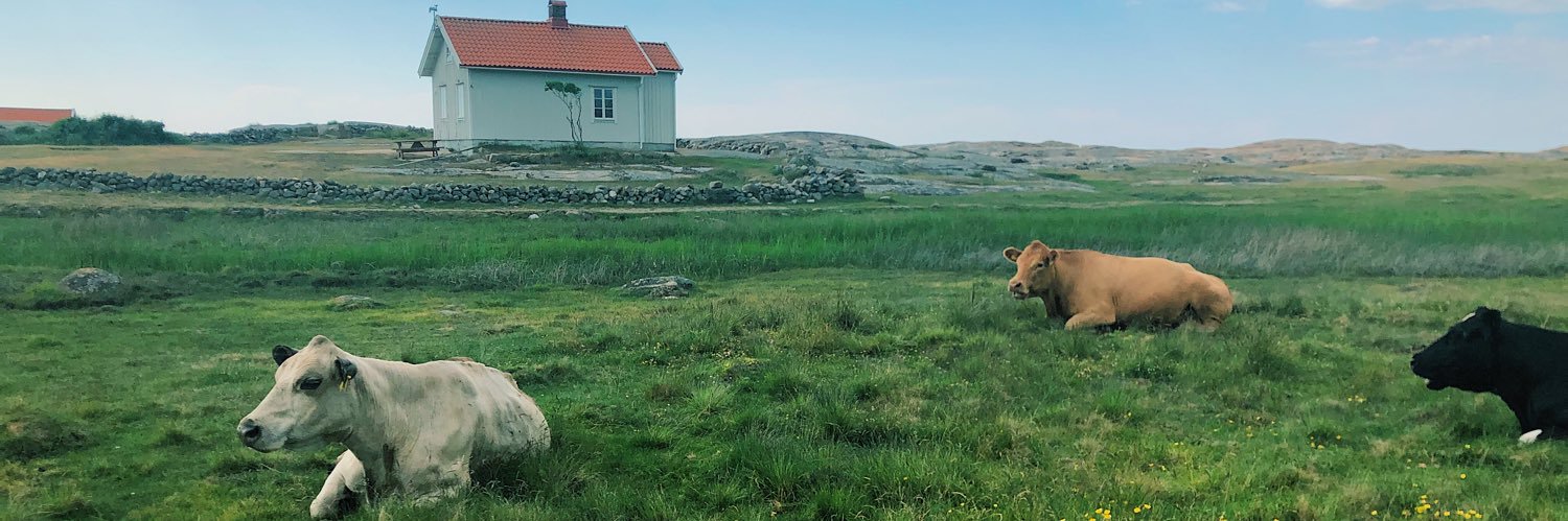 JuliaBojeryd's profile banner image