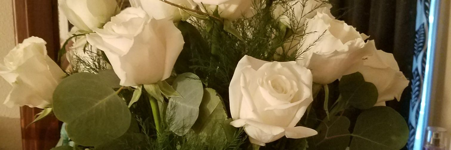 jujubell79's profile banner image