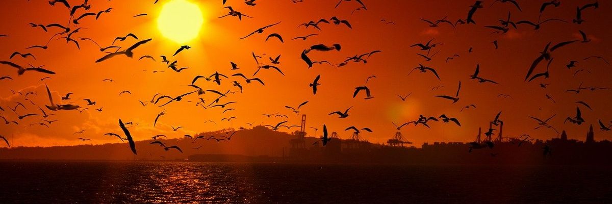 cdanmatt's profile banner image