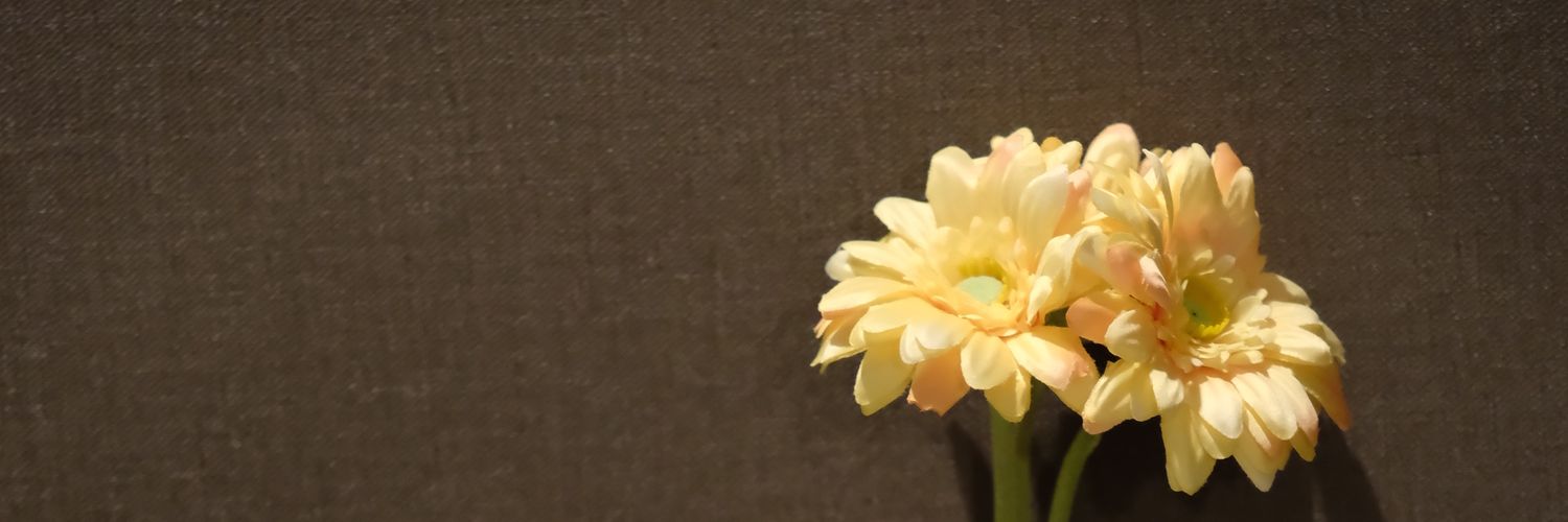 Kanarinsanity's profile banner image