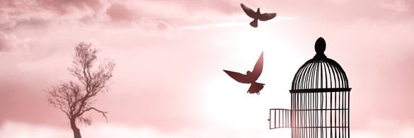 KaDirect's profile banner image