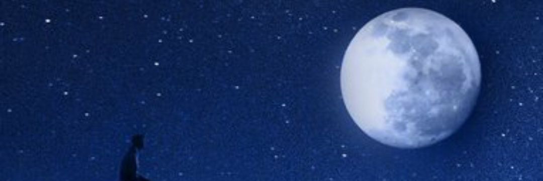 Annoyingapplee's profile banner image