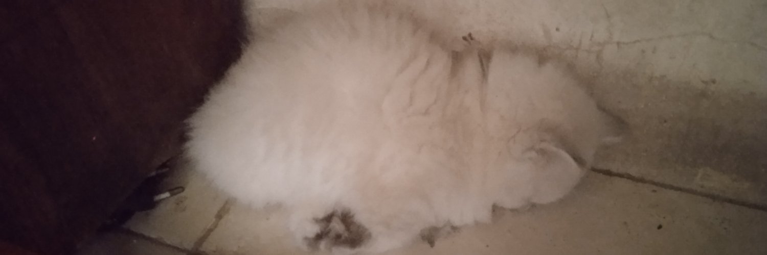 charis_riss's profile banner image