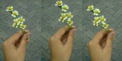 eka_agstnarp's profile banner image