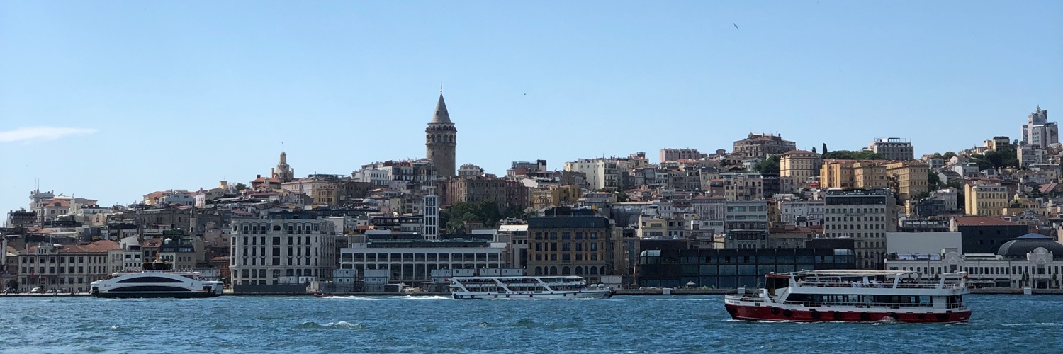 LadybugBurcu's profile banner image