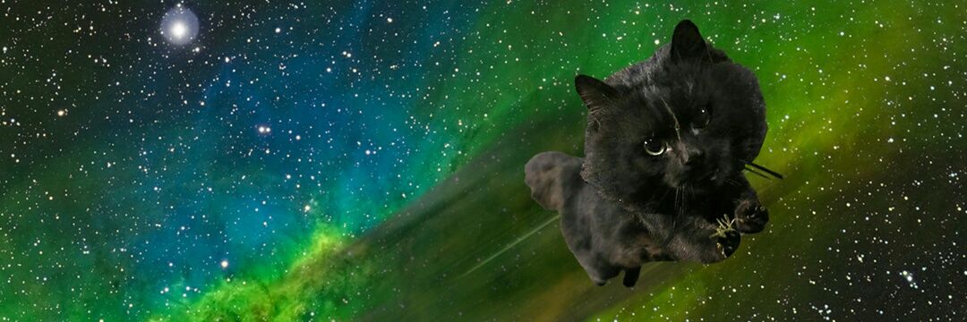 Zgoldinger's profile banner image