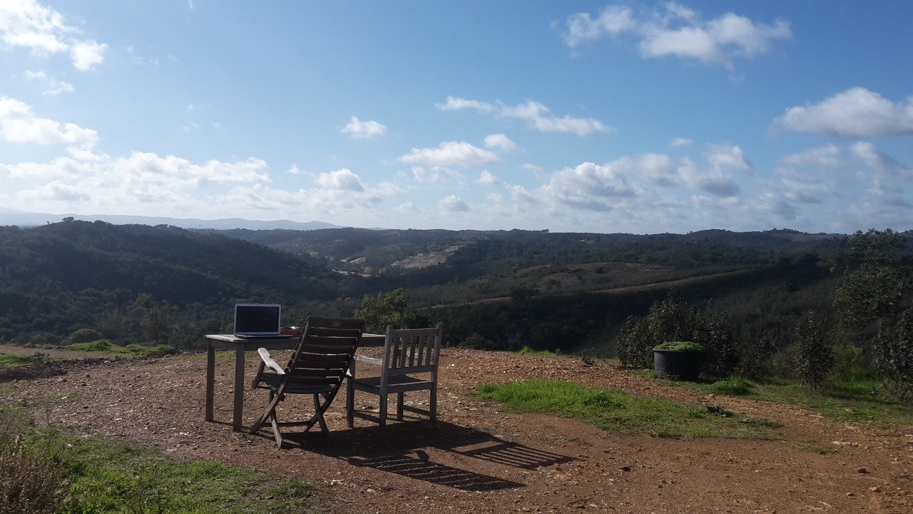 Polly Roberts banner