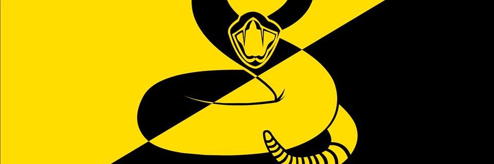tripikito's profile banner image