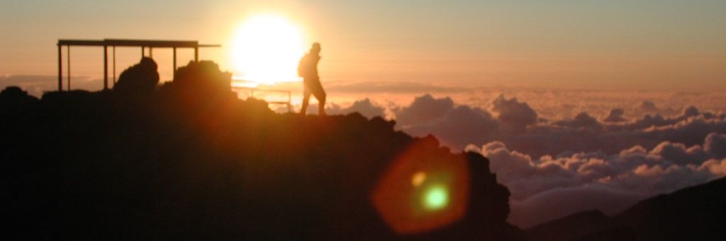 Ed_Needham's profile banner image