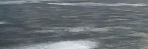 moodylile's profile banner image