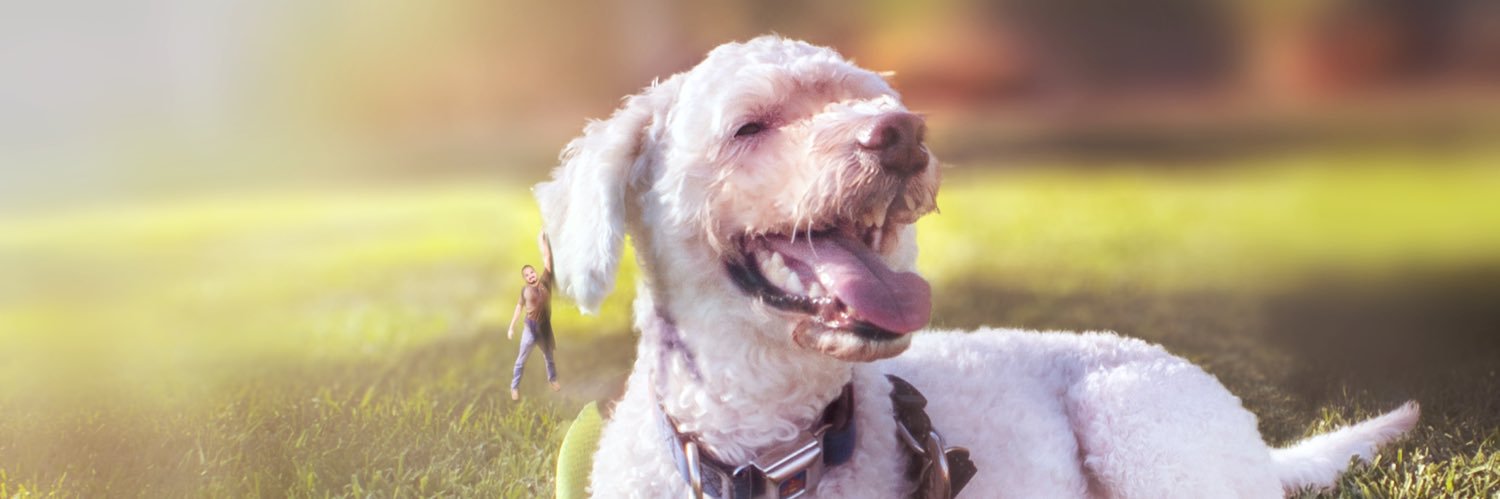 CeelosEsco's profile banner image