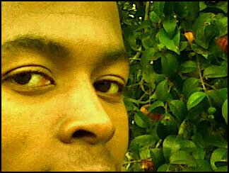 FruitmanZ's profile banner image