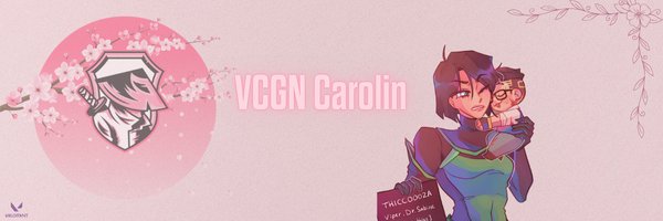 Carolina banner