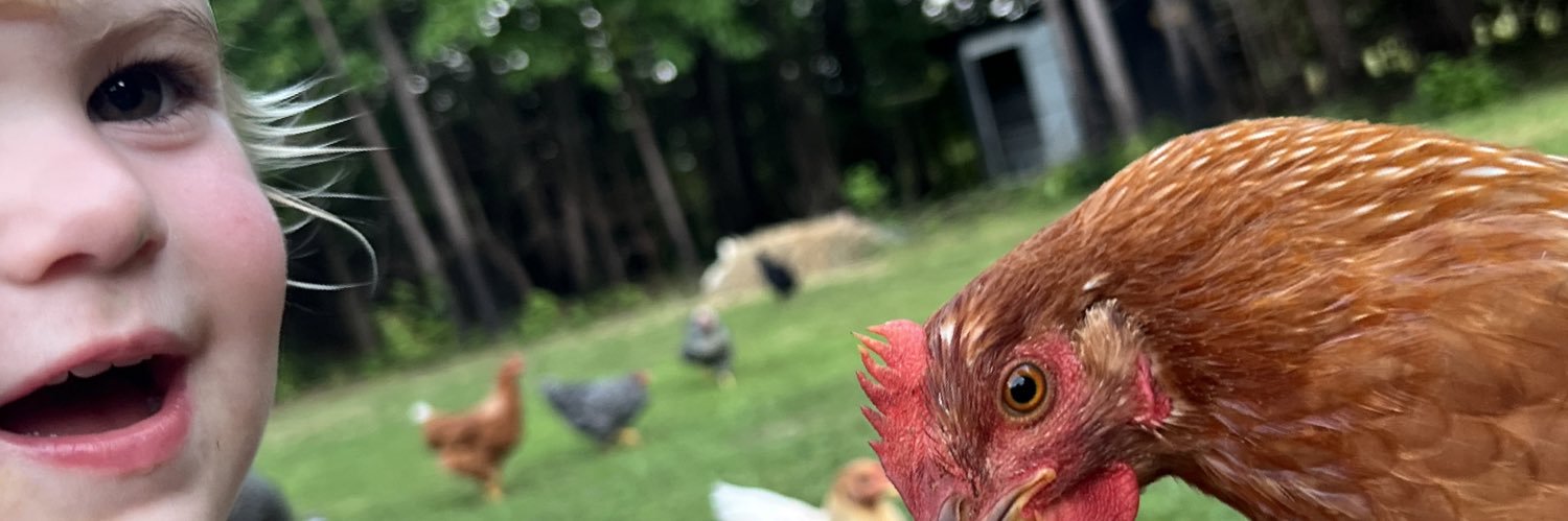 BrandonRillo's profile banner image