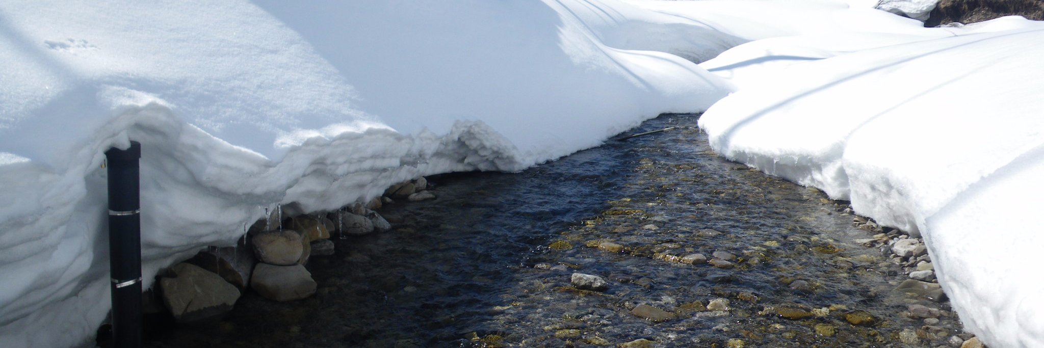 SRWP_H2O's profile banner image