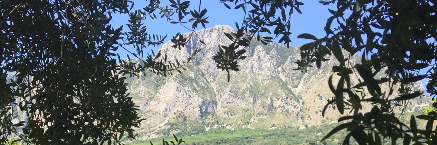 AlfioCastelli's profile banner image