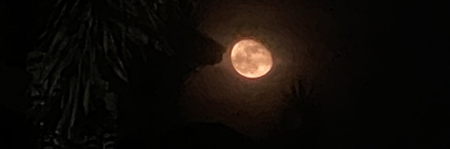 _yanesaaa's profile banner image