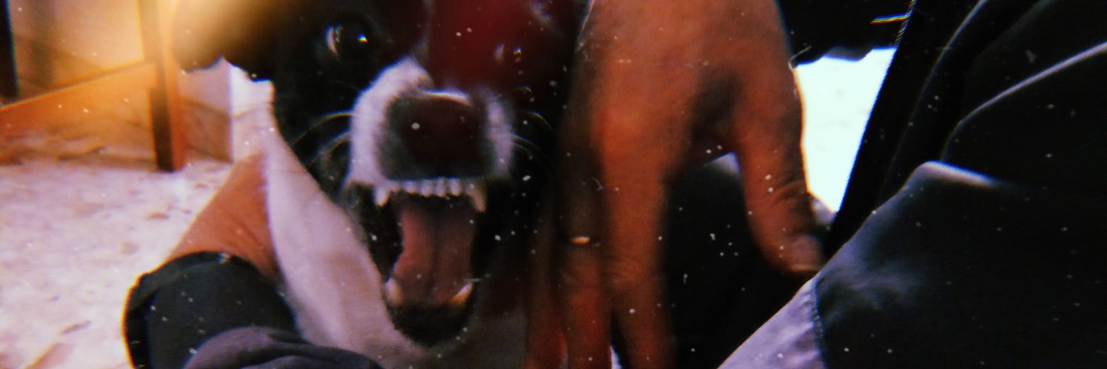 maika_81's profile banner image
