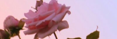 valenaek's profile banner image