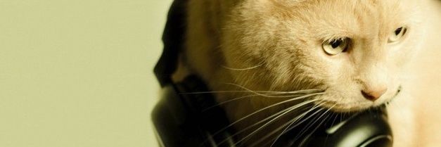 Viriloca's profile banner image