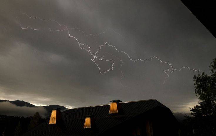 ｓａｅｅｄ banner