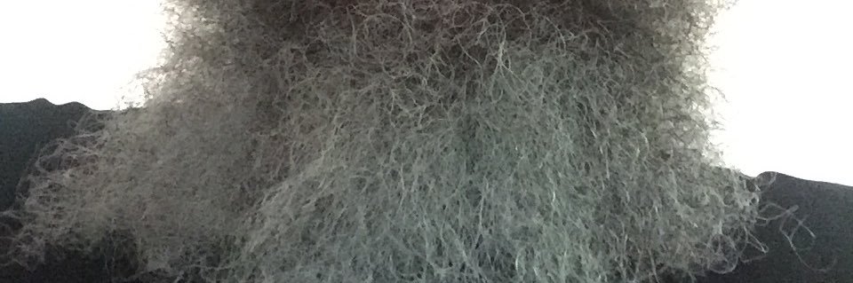 Brad Smilanich banner
