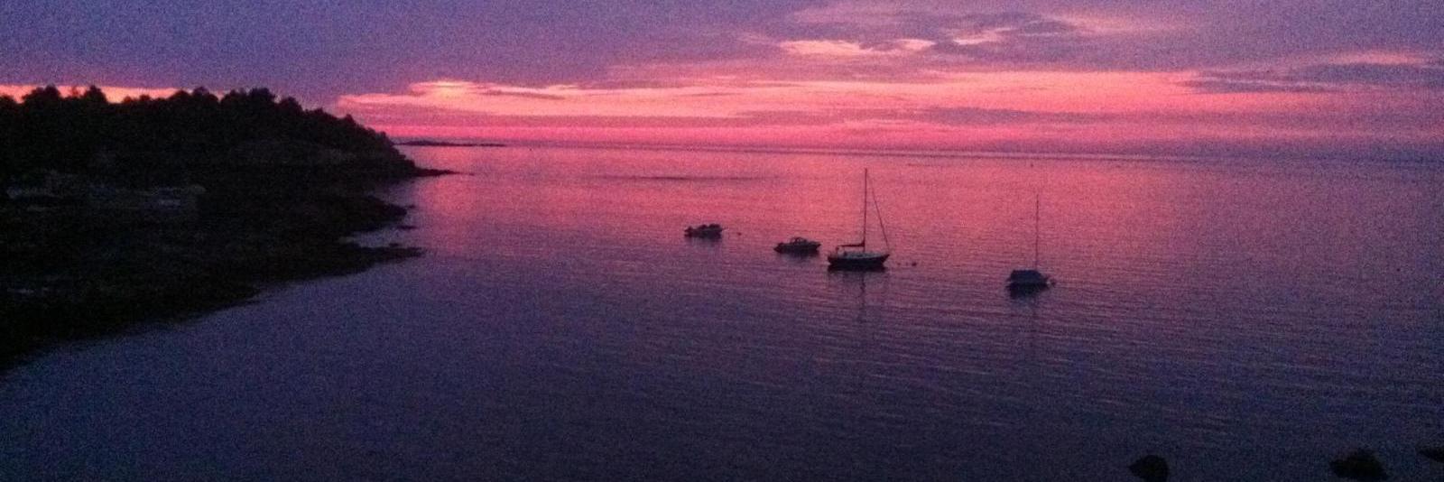 Steve Bulpett banner