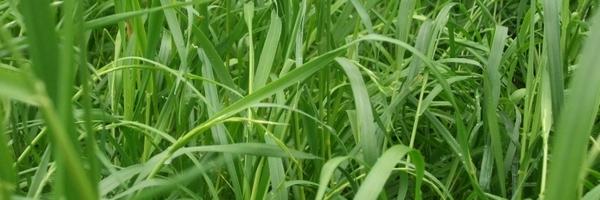 HMSUNBURY Profile Banner