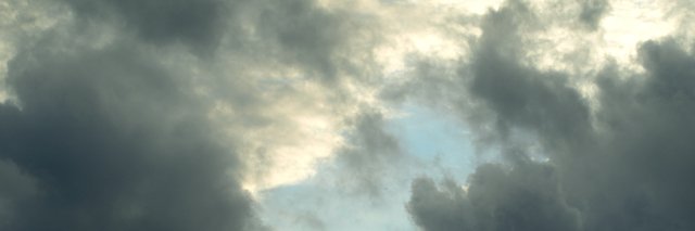CDamerose's profile banner image