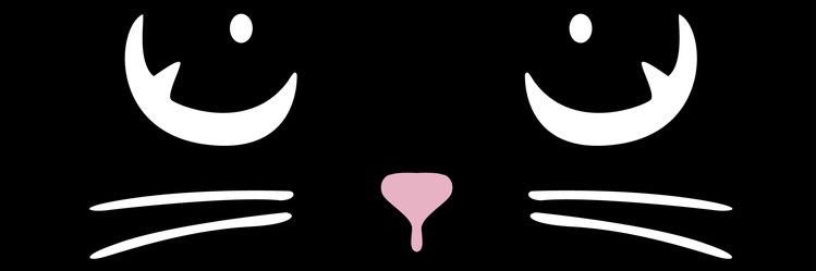 buc_io's profile banner image