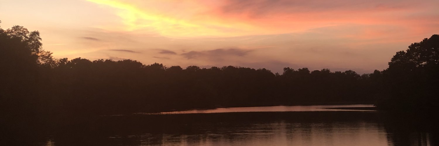 MrsLyssMartin's profile banner image