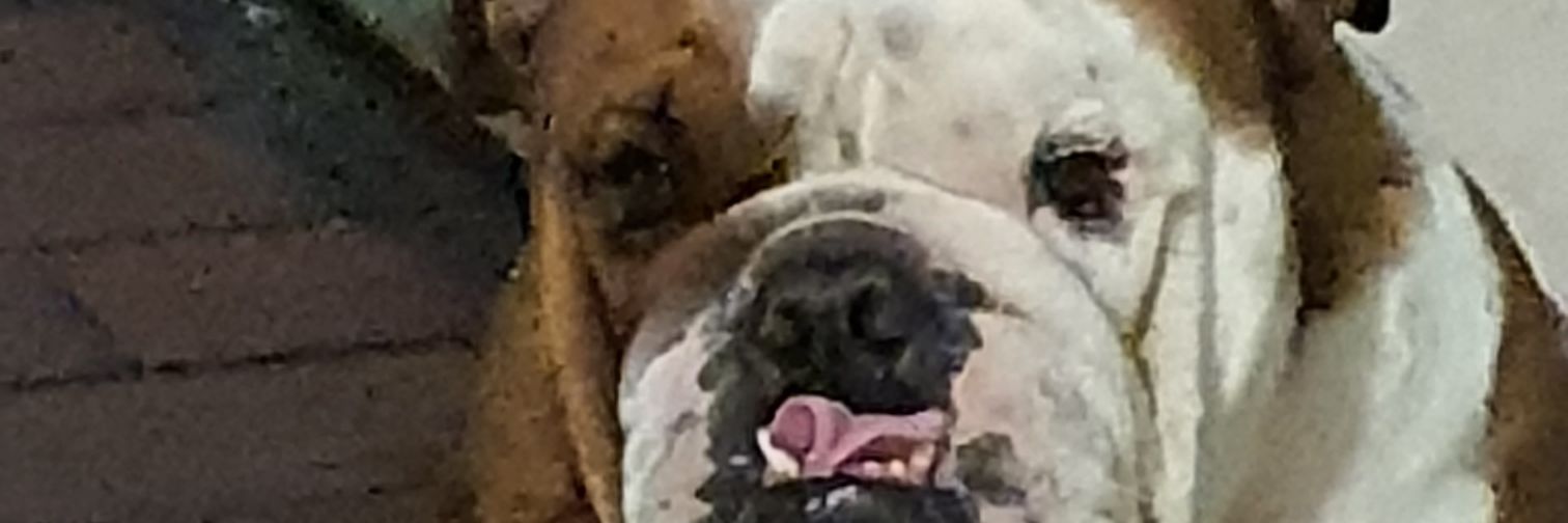Gloriagv's profile banner image