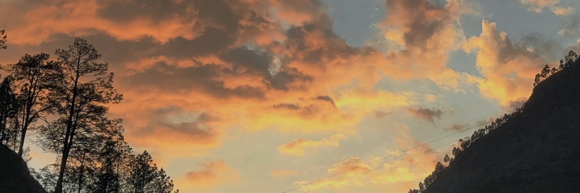 niharigoat's profile banner image