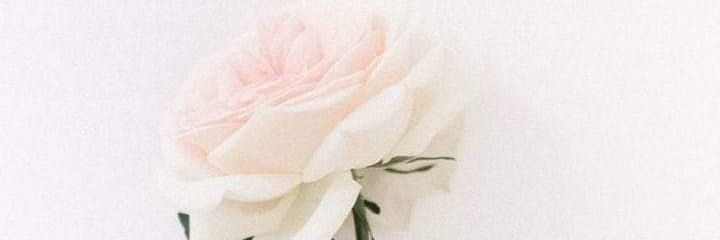 MounaElArgabi's profile banner image